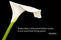 ODC-Words (Laurie2123) Tags: macro lily calla quote buddha sb600 micro ...