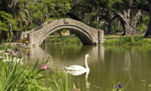 FEDERAL GOVT LOGIC: New Orleans City Park Man-Made ‘Wetlands’ Are ...