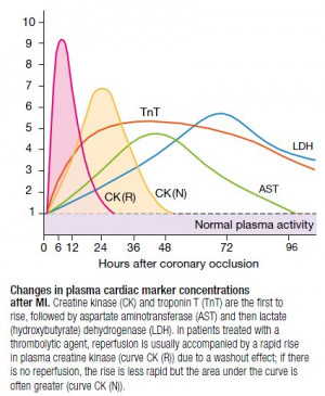 cardiac enzyme levels chart