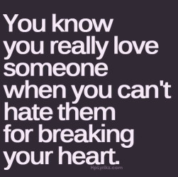 you know you really love someone when you can't hate them for breaking ...