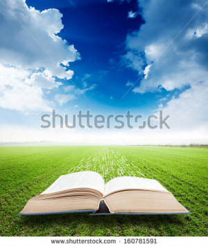 open book with magic flying letters on field background - stock photo