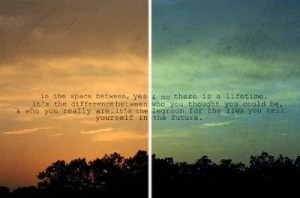Jodi Picoult Quote