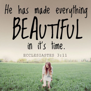 He has made everything beautiful in it's time.
