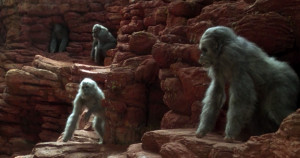 Welcome to episode 197. Today, we talk about Congo!