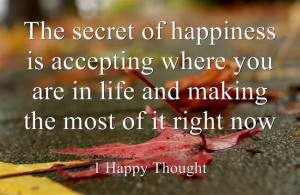 The-secret-to-happiness-is-always-making-the-most-of-the-current ...