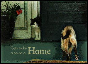 Cats Make a House a Home