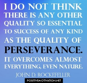 Success quotes - I do not think there is any other quality so ...