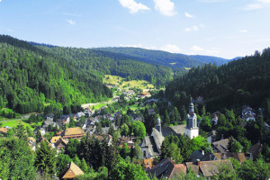 black forest germany tours
