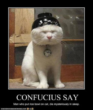 funny famous quotes. Free Funny confucius Quotes