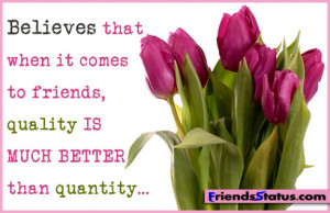 Friends Quality Is Better Than Quantity