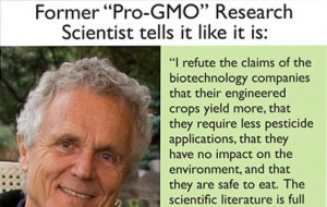 gmo_quote_feat.png