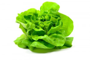 Top 9 Health Benefits of Lettuce