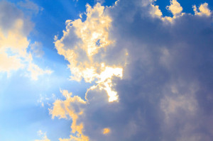 ... love and how to let it come in.” -Mitch Albom, Tuesdays with Morrie