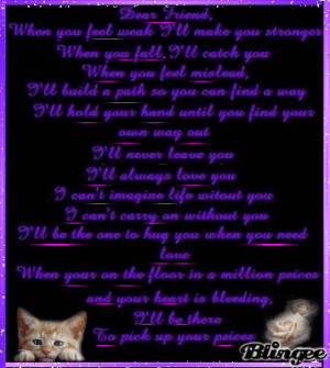 friends cats flowers quotes tags cats flowers friends quotes