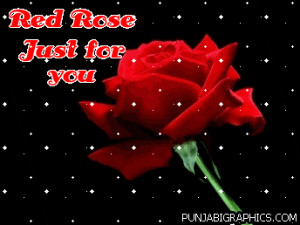 Love Comment: Red Rose Just For You