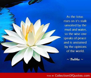 Other Quotes & Sayings