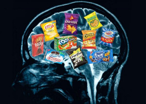 How diet affects brain function revealed in studies