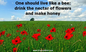 One should live like a bee: drink the nectar of flowers and make honey