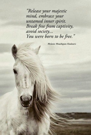 Born To Be Free Quotes