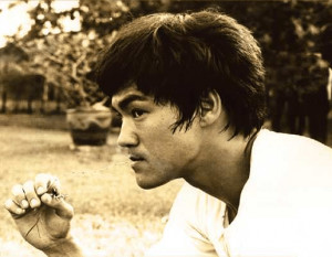 Here is my collection of Bruce Lee quotes . It’s organized by art ...