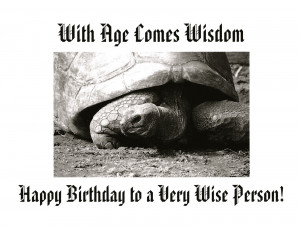 ... wise person aldabra tortoise 2013 the aldabra giant tortoise from the