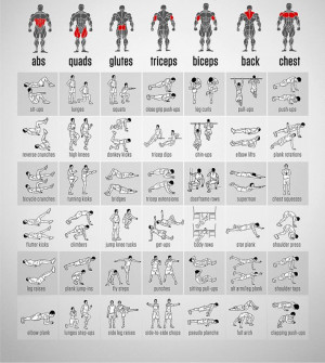 42 exercices à connaître pour muscler efficacement votre corps