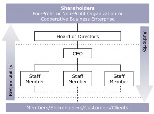 Non Profit Organization Structure Chart