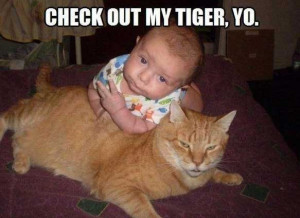 cat-baby-memes