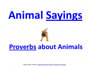 Animal Sayings