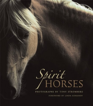 Spirit Horses by Tony Stromberg