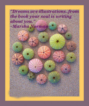 Dreams are illustrations... from the book your soul is writing about ...