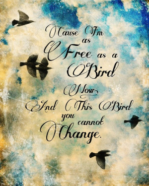free like a bird quotes