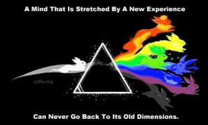 Love this take on the classic Prism image that Pink Floyd made famous.