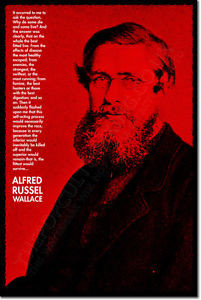 Details about ALFRED RUSSEL WALLACE ART QUOTE PRINT PHOTO POSTER GIFT ...