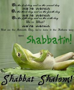 Shabbat Shalom! More