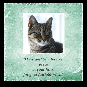 Free Cat Sympathy Card