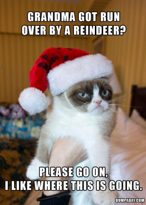 grandma got run over by a reindeer, grumpy cat, funny grumpy cat