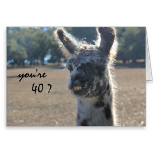 Funny Llama Birthday, 40th, Over the Hill Greeting Card