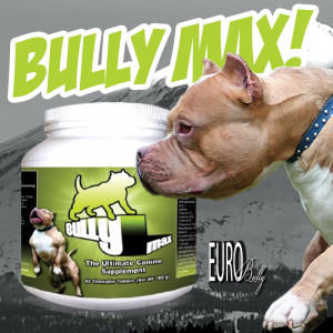 Bully Max Dogs