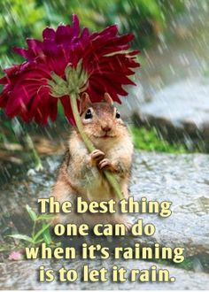 Funny Rainy Day Quotes And Sayings Rain day