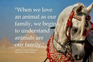 ... to understand animals are our family.