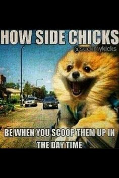 side chicks more smileys face side chicks funny stuff