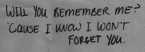 Will You Remember Me
