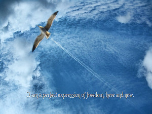 Jonathan Seagull Quotes. QuotesGram