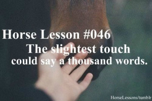 Horse life lesson