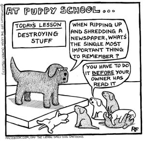 Dog School Humor