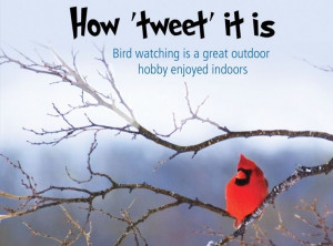 birds bulletin board ideas | Bird-watching idea - saying, red bird....