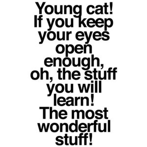 Dr. Seuss Quotes: The Best Dr. Suess Quotes to Inspire Kids | Family S ...