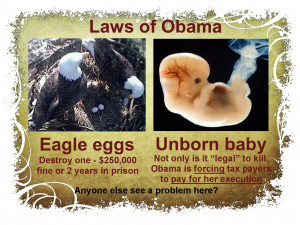 Ron Paul Foreign Policy Quotes You like ron paul, except on foreign ...