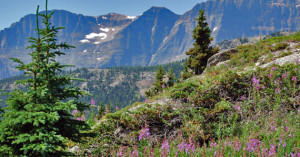 Quotes About the Rocky Mountains